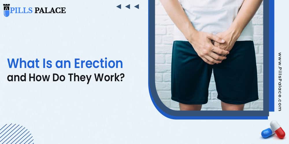 Erection