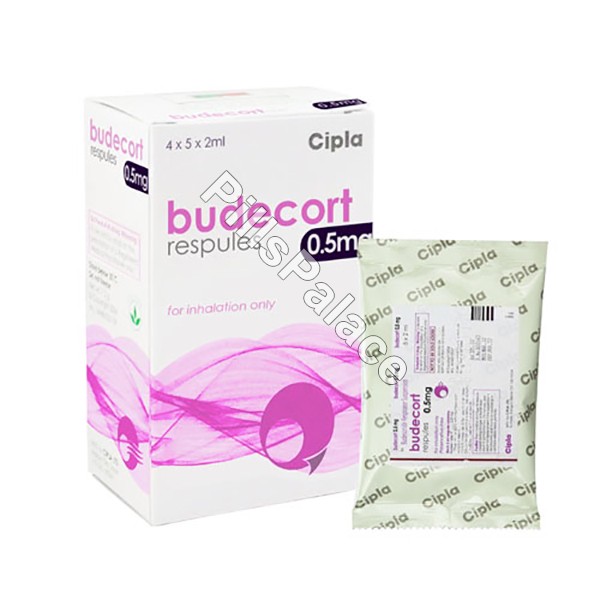 budecort respules